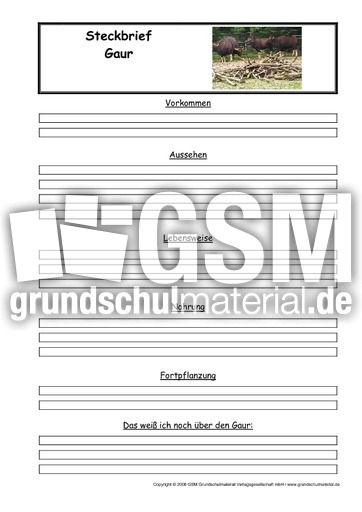 Gaur-Steckbriefvorlage.pdf